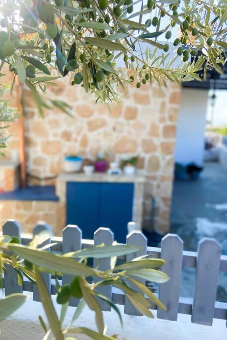 Giasemi Aegina, Modern House Villa Dış mekan fotoğraf