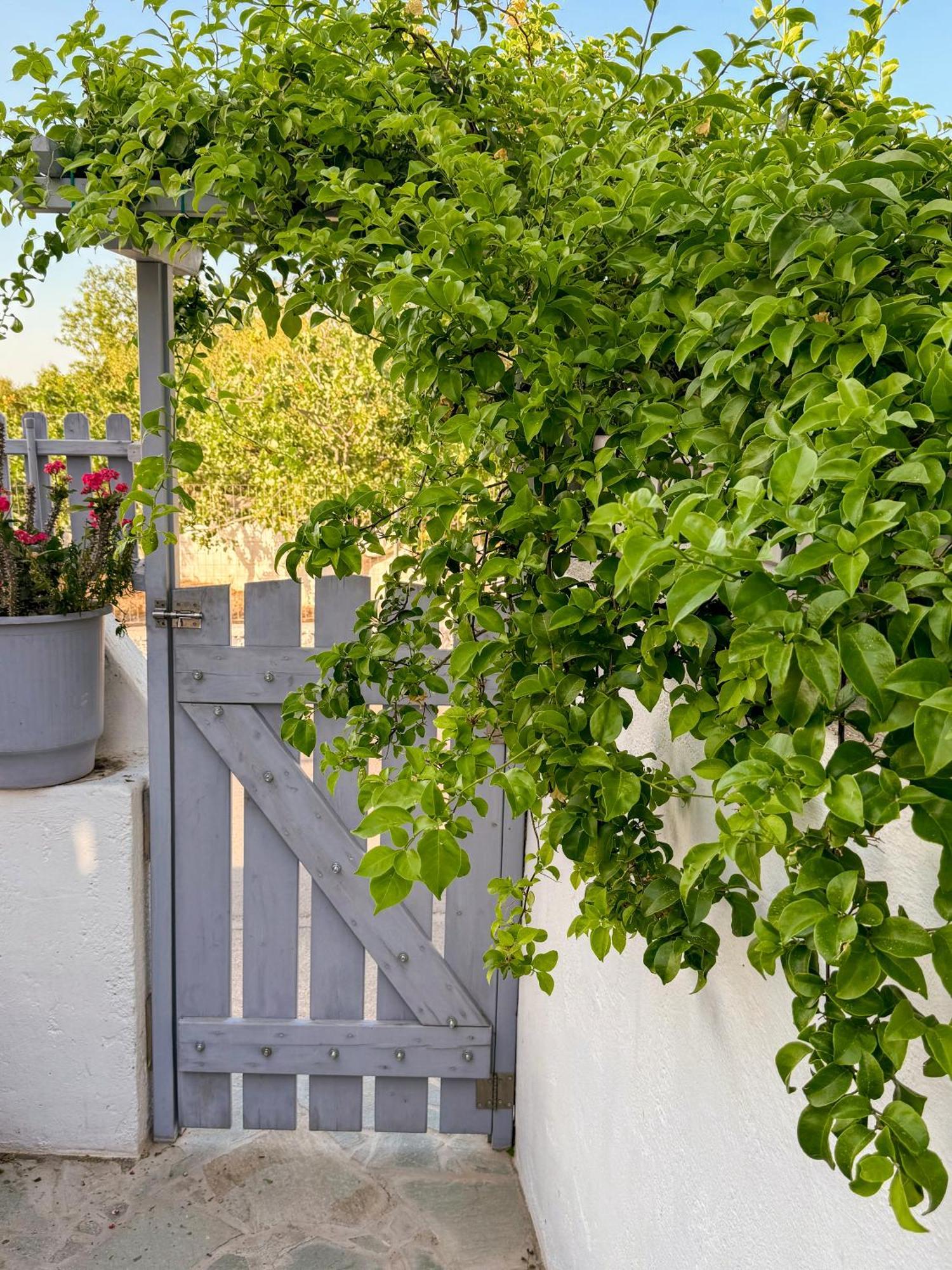 Giasemi Aegina, Modern House Villa Dış mekan fotoğraf