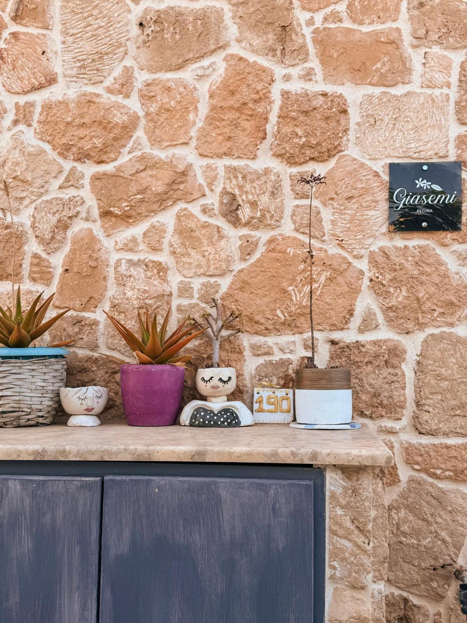 Giasemi Aegina, Modern House Villa Dış mekan fotoğraf